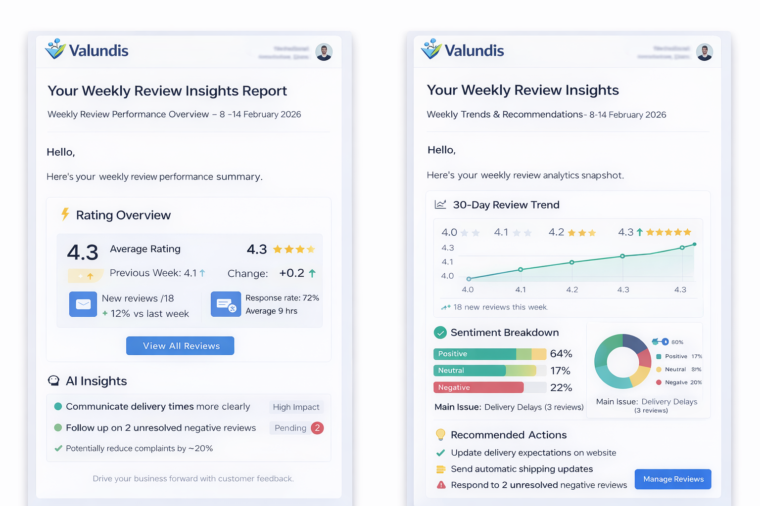 Valundis weekly review insights report demo preview